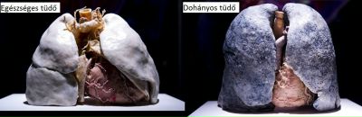 Розалія Ідяртов фотография #47 (источник - https://vk.com/id14299634)