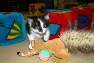 Фотография Лавряшиной Юлии