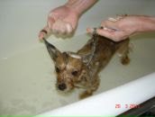 Иван Андреев фотография #17 (источник - https://vk.com/id2534545)