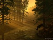 Андрій Гринчук фотография #1