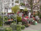 Михаил Кор фотография #37 (источник - https://vk.com/id8564320)