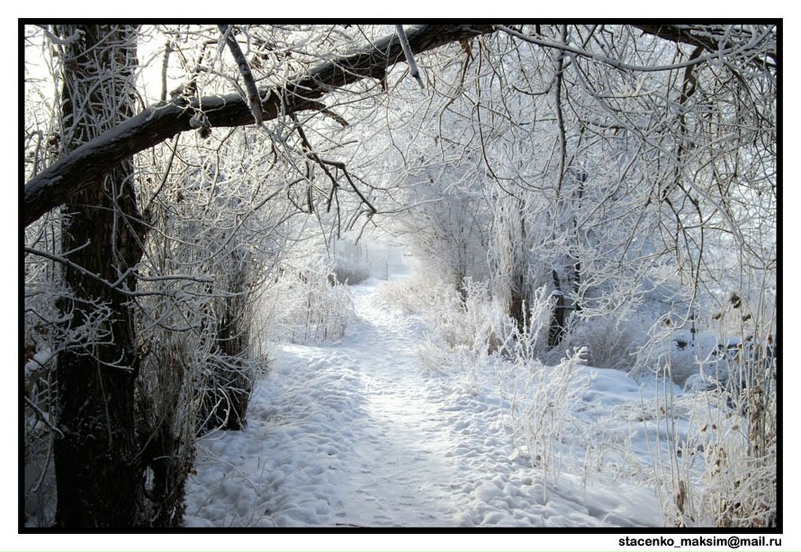 Сергей Шутко фотография #48