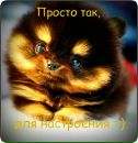 Людмила Грекул фотография #27 (источник - https://vk.com/id166478489)