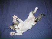 Ольга Приходько фотография #7 (источник - https://vk.com/id474264)