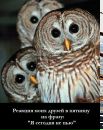 Іван Шалата фотография #29 (источник - https://vk.com/id153214289)