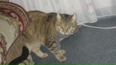 Дашка Модова фотография #44 (источник - https://vk.com/id2251602)