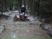 Фотография Веселова-Румянцева Дмитрия