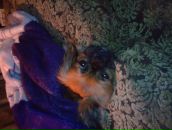 Олексій Цинко фотография #2 (источник - https://vk.com/id57108580)