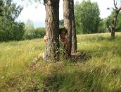 Фотография Латиповой Альбины