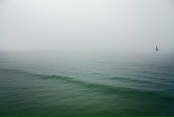 Катя Кадони фотография #13 (источник - https://vk.com/id2779117)