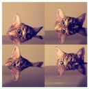 Віка Міщенко фотография #22 (источник - https://vk.com/id146696565)