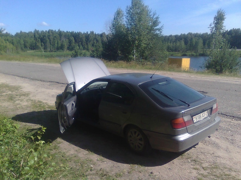 Миша Субоч фотография #20