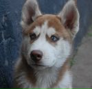 Дима Пилипчук фотография #12 (источник - https://vk.com/id20813129)