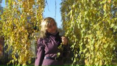 Фотография Сиротиной Екатерины