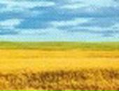 Віталій Луценко фотография #10 (источник - https://vk.com/id11367662)