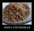 Фотография Матвеева Александра