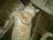 Фотография Владимирова Антона