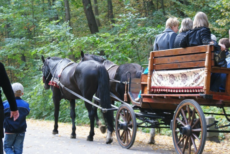 Софья Романенко фотография #45