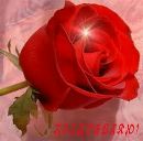 Наталья Соловьева фотография #13 (источник - https://vk.com/id133896063)