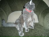 Фотография Молодцовой Иннульки