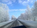 Веталь Степаненко фотография #26 (источник - https://vk.com/id137444072)