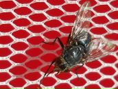 Фотография Kondaurova Irina