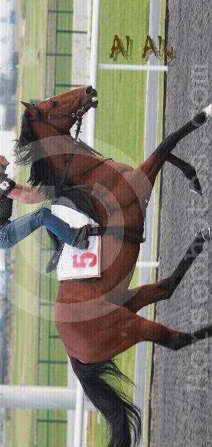 Али Ал фотография #1