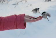 Фотография Великанов Андрей