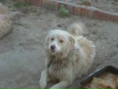 Сергій Петров фотография #37 (источник - https://vk.com/id92831660)