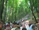 Андрій Магомета фотография #21 (источник - https://vk.com/id138108304)