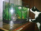 Фотография Шварцман Наталии