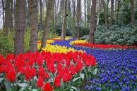 Фотография Чернобай Яны