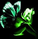 Фотография Мельницкой Анжелы