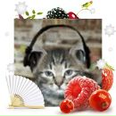 Alex Fox фотография #50 (источник - https://vk.com/id40662)