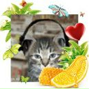 Alex Fox фотография #24 (источник - https://vk.com/id40662)