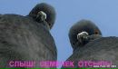Фотография Вася Хароший