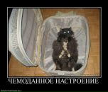 Катерина Одер фотография #28 (источник - https://vk.com/id988974)