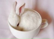 Фотография Shpakovka Катерины