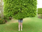 Наташа .... фотография #31 (источник - https://vk.com/id631785)