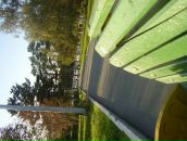 Фотография Паничкина Дениса