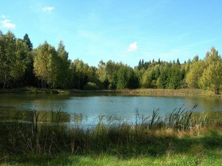 Сергей Дробышев фотография #3