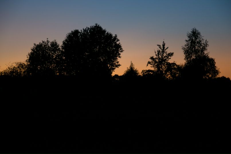 Дмитрий Клочков фотография #48