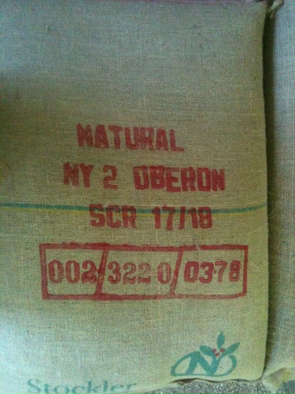 Дмитрий Павлов фотография #40