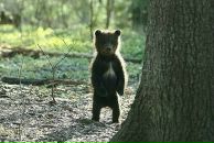 Фотография Lazareva Mary