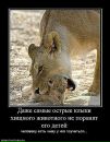 Сергій Притула фотография #21 (источник - https://vk.com/id105081679)