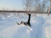 Фотография Лисецкой Яны