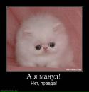 Аліна Котова фотография #42 (источник - https://vk.com/id6179769)