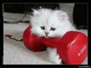 Фотография Филатовой Натальи