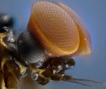 Антон Филь фотография #17 (источник - https://vk.com/id1657549)