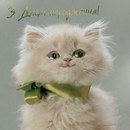 Соломія Дубина фотография #25 (источник - https://vk.com/id163189985)